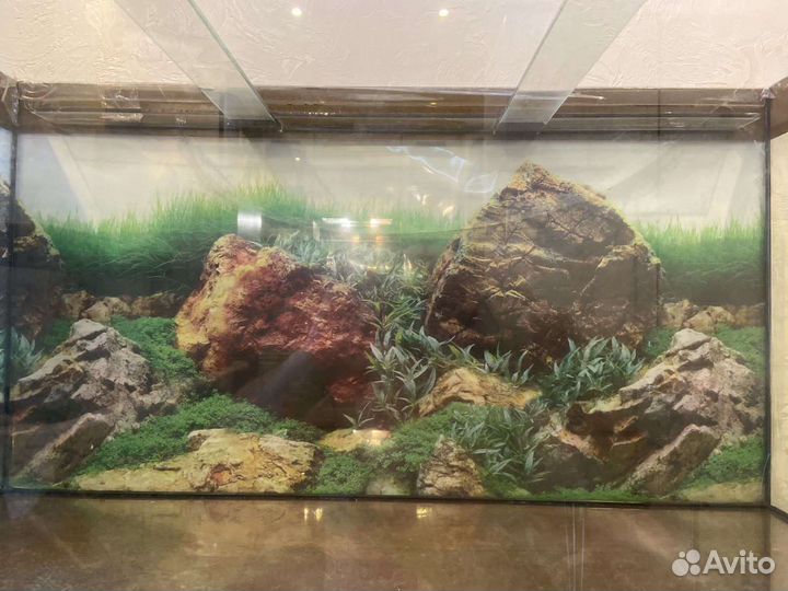 Аквариум с тумбой 250л