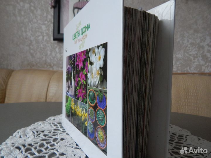 Цветы дома шаг за шагом