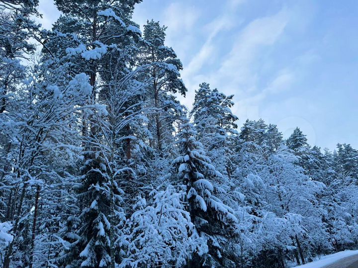 Дом 90 м² на участке 23 сот.