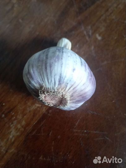 Вишня ягода