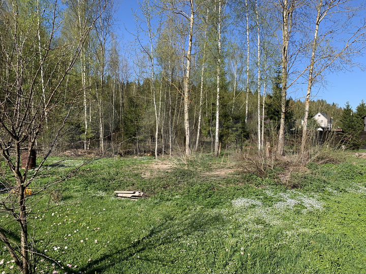 Участок 8 сот. (СНТ, ДНП)