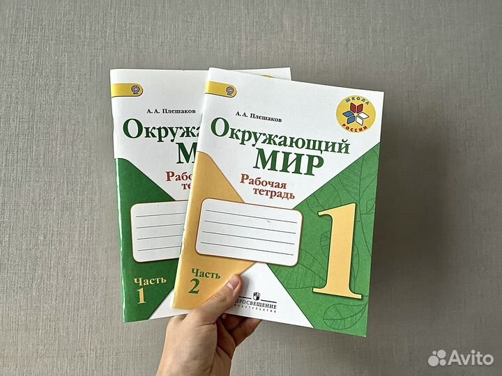 Рабочая тетрадь окружающий мир Плешаков 1 класс