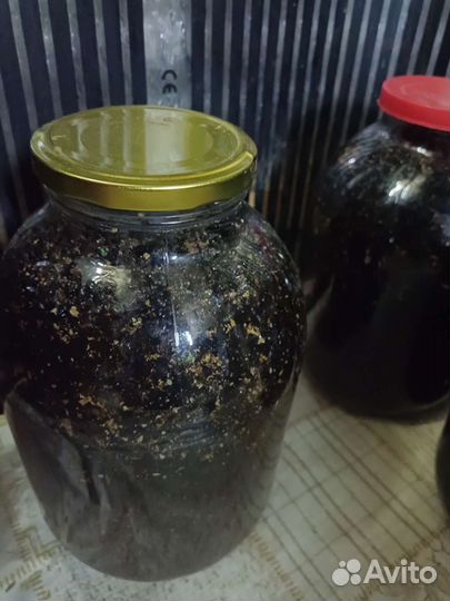 Пчелиный подмор