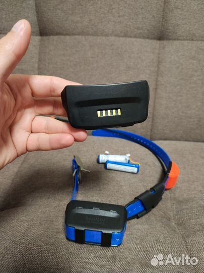 Корпус ошейника Garmin T5