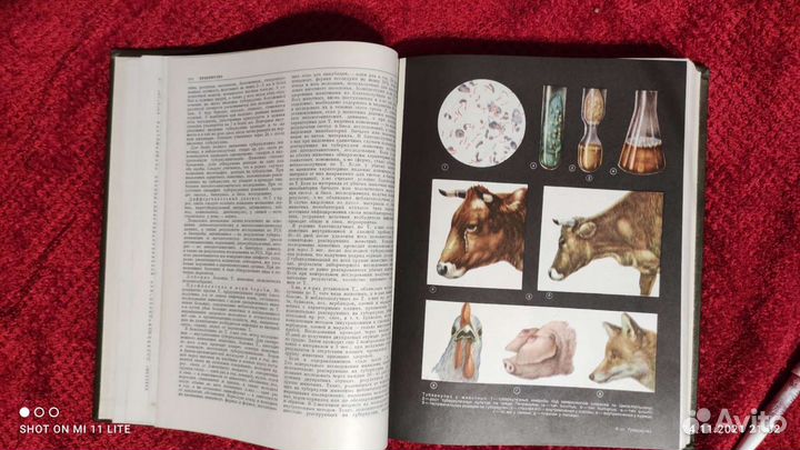 Ветеринарная энциклопедия в 3 томах 1973 г