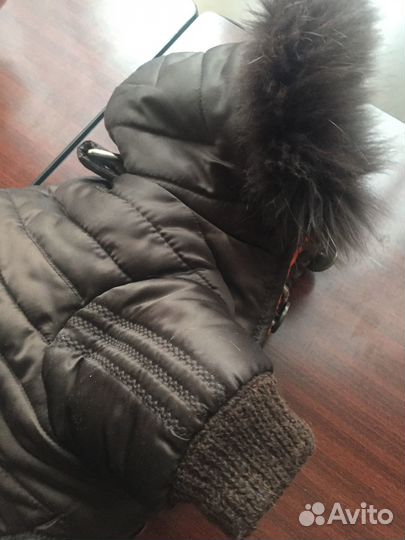 Новый зимний комбинезон для собачки