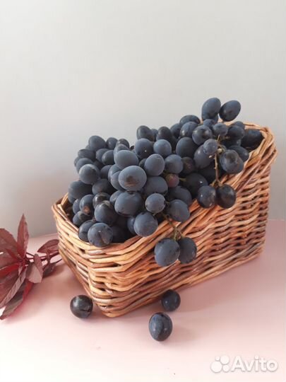 Плетеные корзины, короба, кашпо,вазы