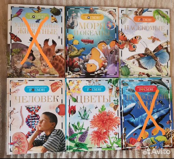 Энциклопедия для детей