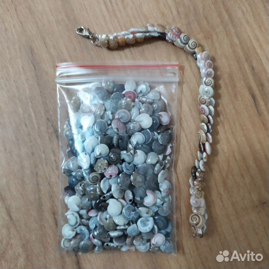 Бусины ракушка. для творчества рукоделия - 600 шт