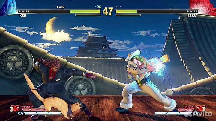 Street fighter 5 PS4 & PS5 RU