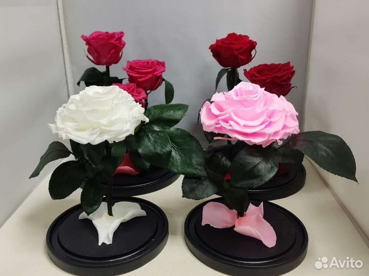 Роза в колбе