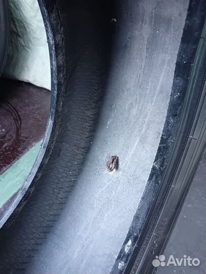 Dunlop Winter Maxx WM02 205/55 R16 91Q