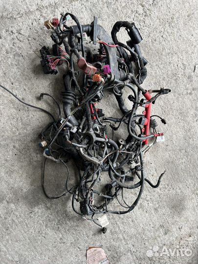 Проводка двигателя Audi A6C6 2.8 ccea