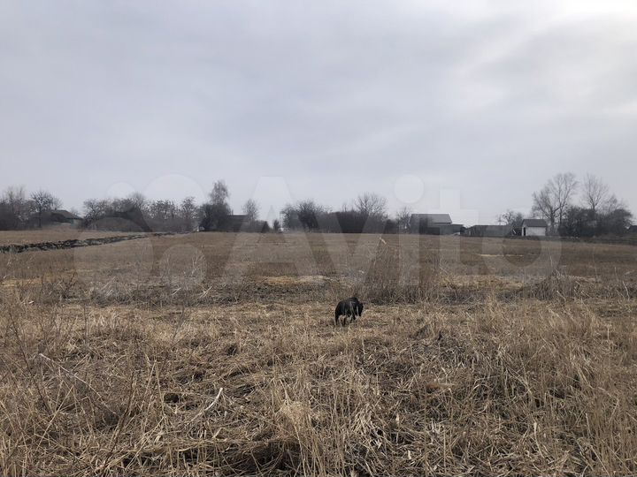 Дом 50 м² на участке 30 сот.