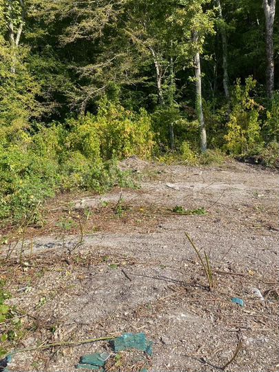 Участок 6,1 сот. (ИЖС)