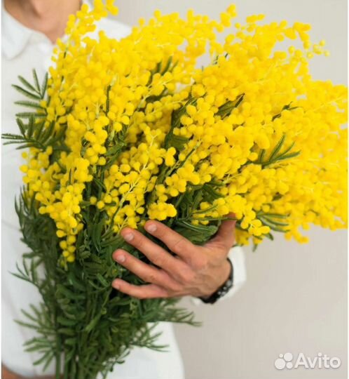 Мимоза искусственная 80 см