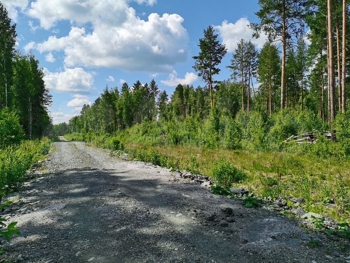 Участок 15 сот. (СНТ, ДНП)