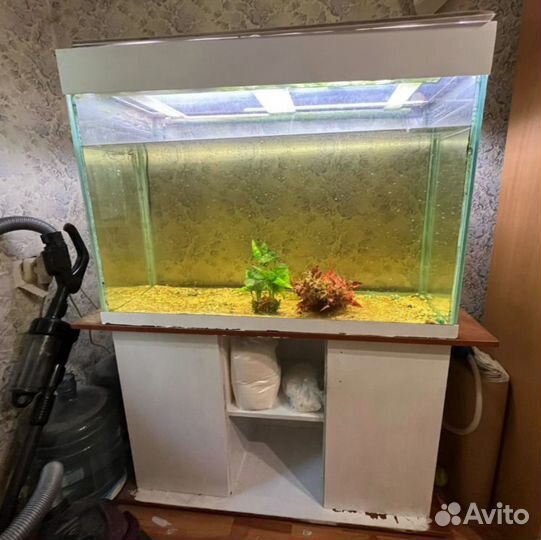 Аквариум 240л с тумбой