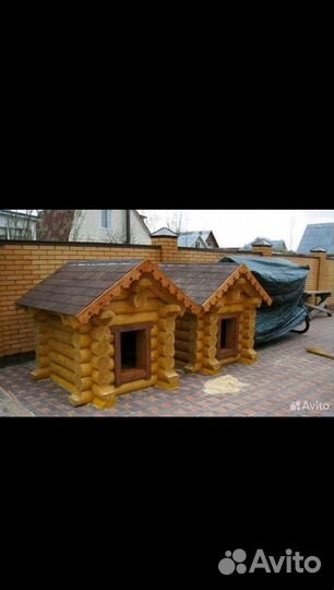 Собачья будка