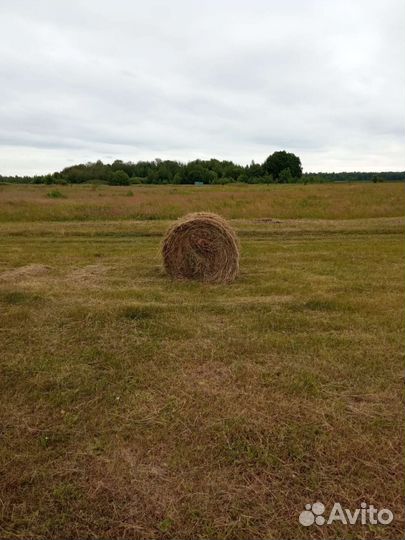 Сено в рулонах