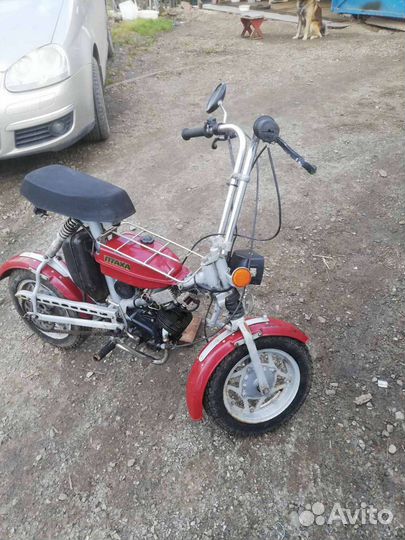 Продам зид-Птаха