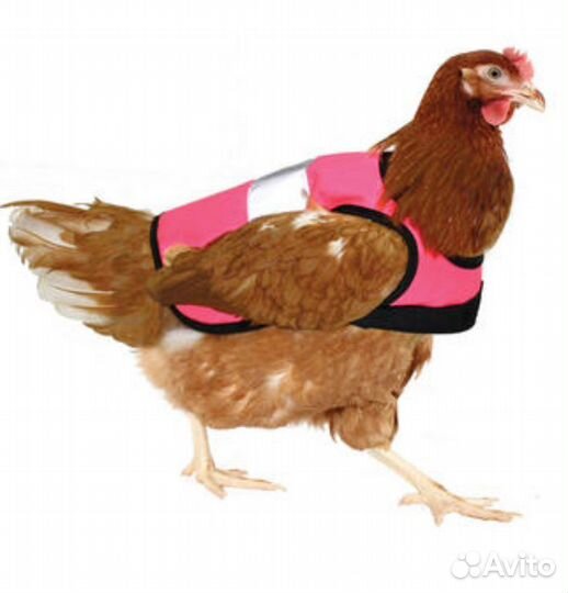 Попона для кур / попонка, седло, накидка, защита