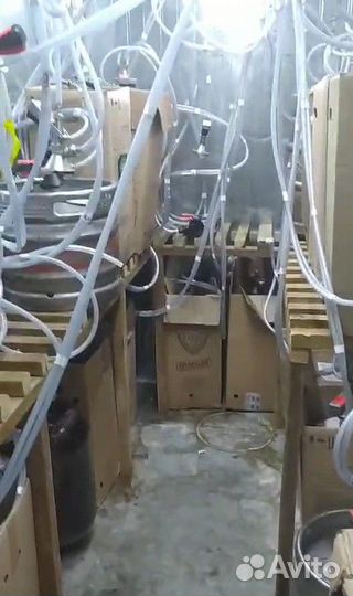 Продажа готового бизнеса - магазин разливного пива