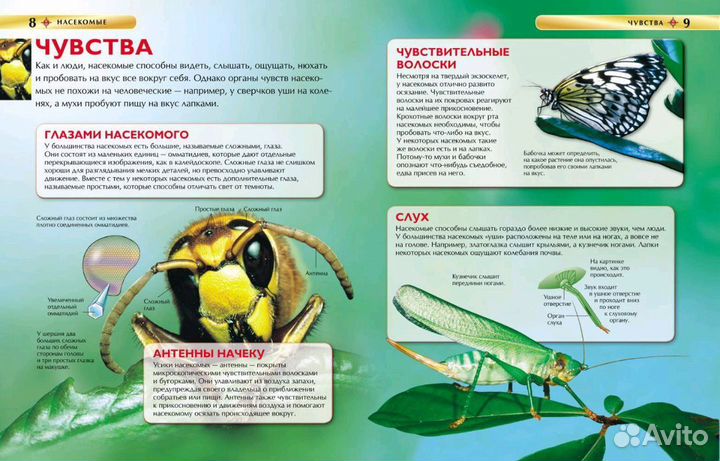 Энциклопедия 