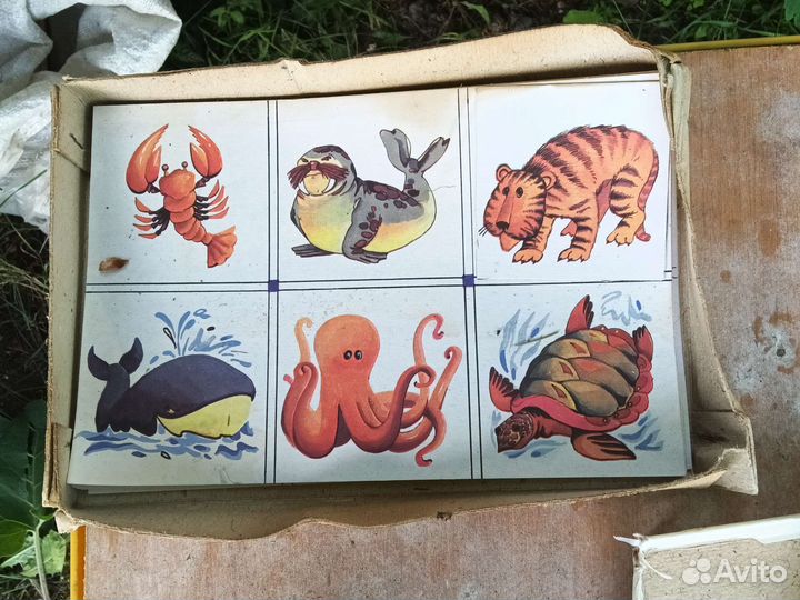 Детская игра лото