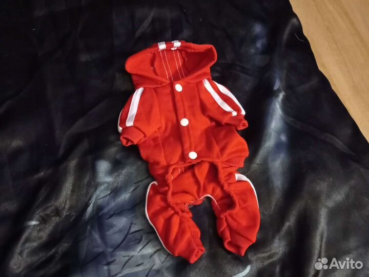 Для маленькой собачки