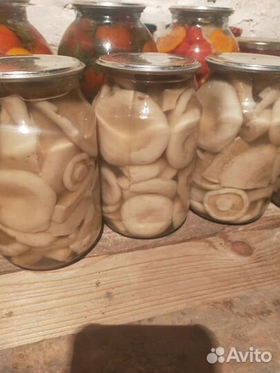 Грибы, соления
