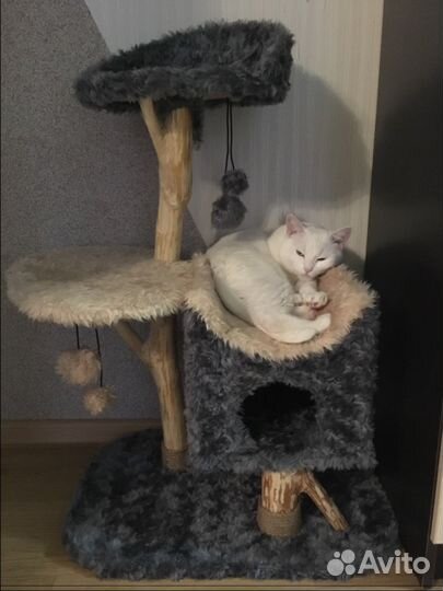 Домик лежанка для кошки