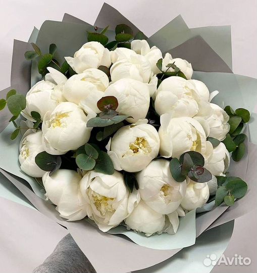 Пионы Цветы Доставка