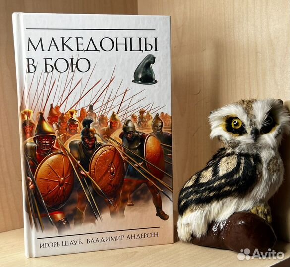 Андерсен В.В., Шауб И.Ю. Македонцы в бою. 2010