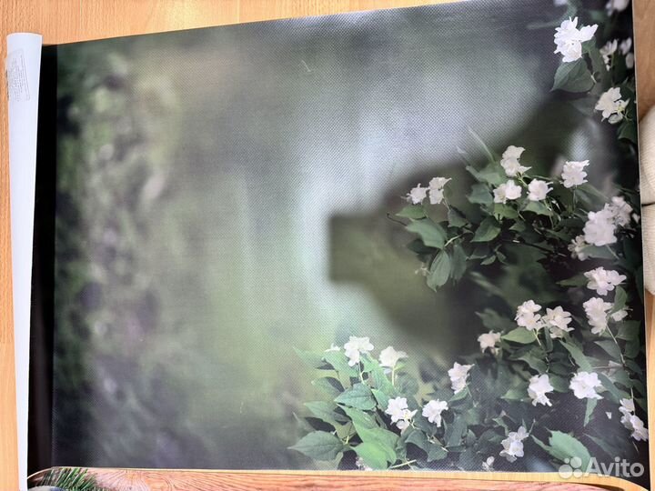 Фотофоны б/у винил