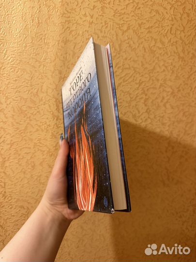 Книга Мурлева Жан-Клод Горе мертвого короля