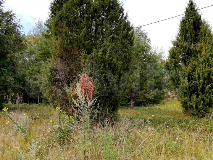 Участок 15 сот. (ИЖС)