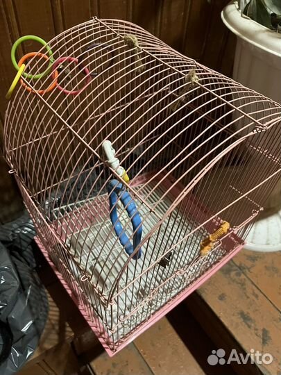 Клетка для попугая