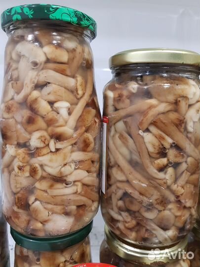 Грибы опята маринованные
