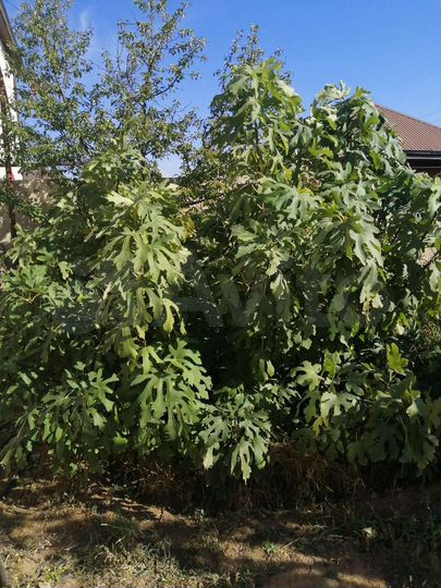 Дом 330 м² на участке 9 сот.