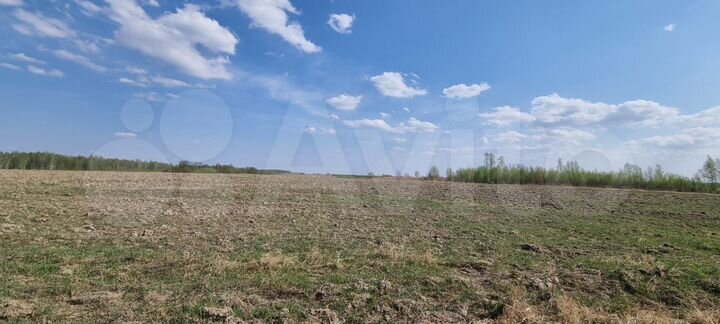 Участок 22 га (СНТ, ДНП)