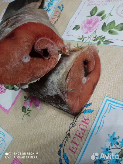Кета