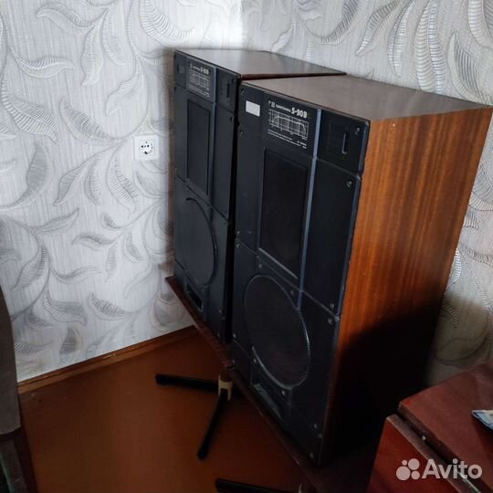 Акустические колонки Радиотехника S90B