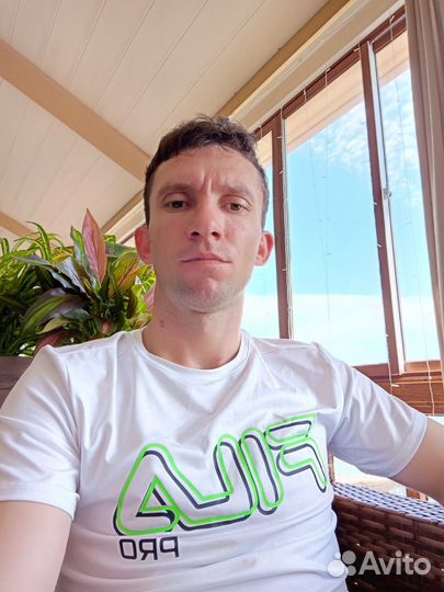 Авитолог. Продвижение на Авито