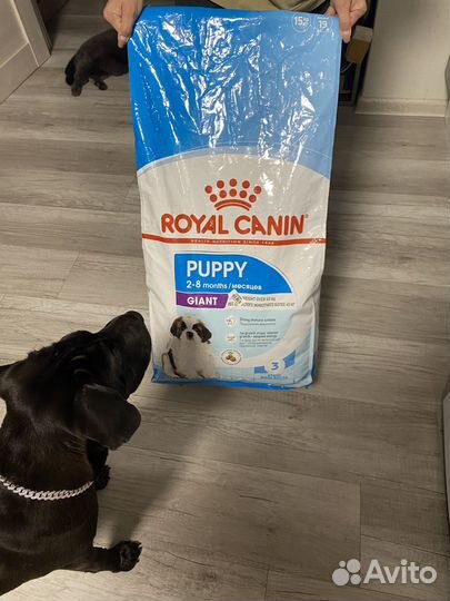 Корм для собак