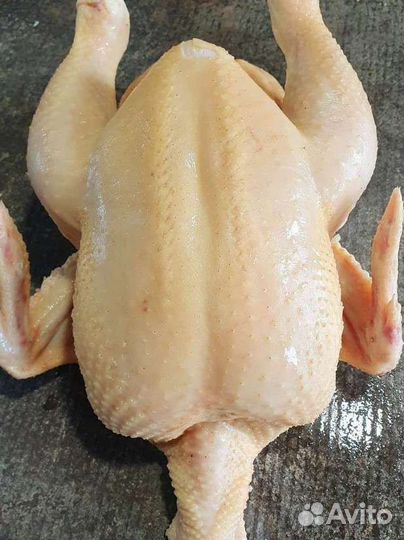 Мясо домашней птицы Бройлер, Корнишон, Индейка