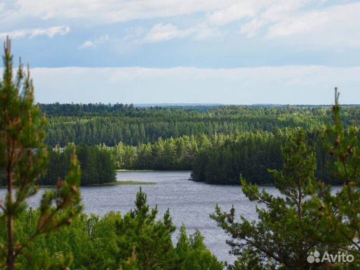 Экскурсия — Петрозаводск — Карельский уикенд