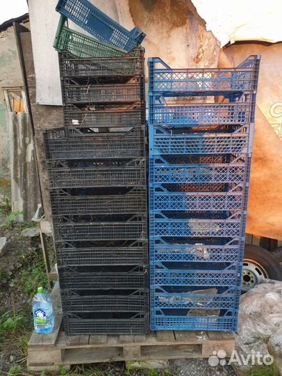 Ящик для овощей