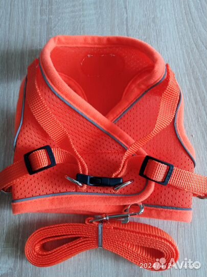 Шлейка для собаки светоотражающая с поводком