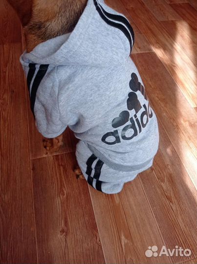 Комбинезон для собаки